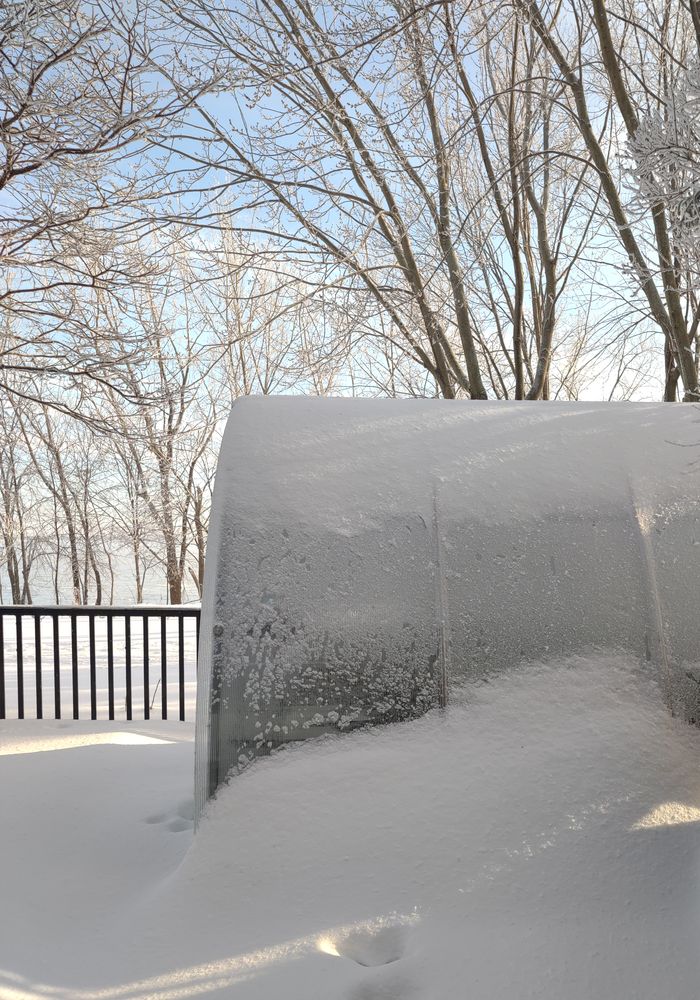 RAINDROP MD9 10'x29' with two doors at both ends and three roof windows